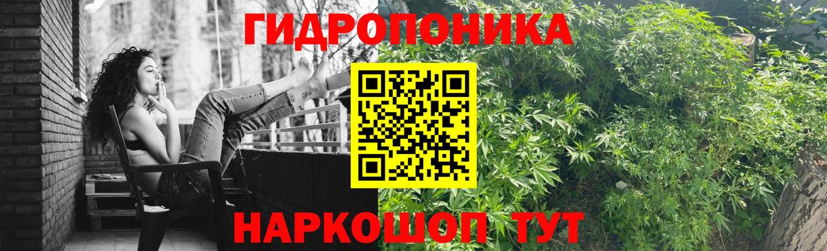 Шишки марихуана тримм  Вход с VPN  Соль-Илецк  Марихуана семена 